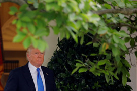 Nghi ngại Trump, phe Cộng hòa âm thầm tìm ứng viên mới cho 2020