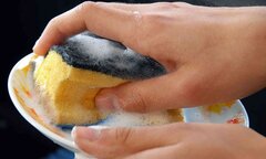 Nghiên cứu sốc: Miếng rửa bát có thể chứa nhiều vi khuẩn gây bệnh như... phân