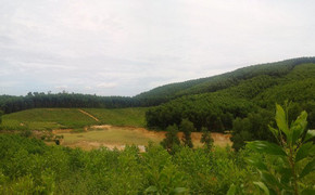 Ngã xuống lòng hồ khai thác đất sét, học sinh lớp 8 chết thương tâm