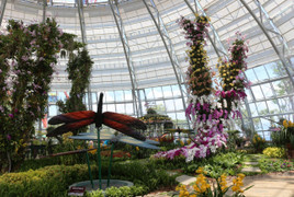 Vinpearl Land mở cửa Đồi Vạn Hoa - công viên thực vật 5 châu độc đáo nhất Việt Nam