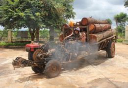 Bắt 2 xe công nông chở gỗ xoan đào trái phép đang trên đường tiêu thụ