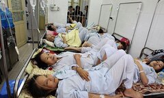 Hà Nội thất bại trong việc phòng chống dịch sốt xuất huyết