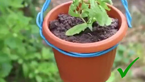 101 mẹo vặt với móc treo quần áo