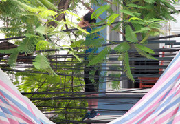 Người nước ngoài chết trong tư thế treo cổ trên cây trước cửa nhà