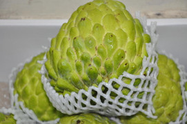 Video: Xem quả na nặng hơn 1kg được bày bán tại Lạng Sơn