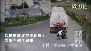 Video: Lùi xe bất cẩn, container cán nát cặp trung niên đi xe đạp điện