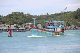 Tàu hàng đâm chìm tàu cá, 8 ngư dân bị hất văng xuống biển