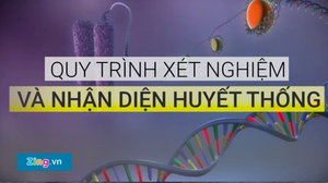 Quy trình xét nghiệm ADN và nhận diện huyết thống