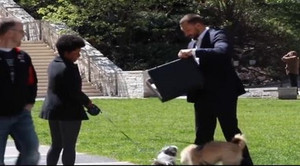 Chàng trai trả cả triệu USD, tuyệt không ai bán chó cưng của mình