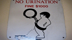 Ở đất nước này, vứt rác, tiểu bậy sẽ bị phạt 16 triệu đồng, phải lao động công ích