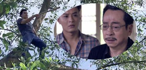 Người phán xử tập 42: Phan Hải khổ sở vì ma túy, Lê Thành muốn thâu tóm Phan Thị