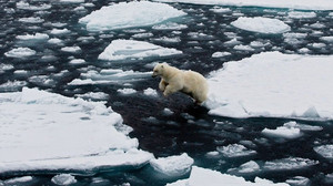 Băng ở Bắc Cực đang tan tốc độ báo động, có thể tan hết vào năm 2030