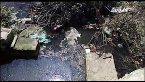 Thanh Hóa: Nhà hàng xả thải thẳng ra biển, dân 'sống không bằng chết' vì ô nhiễm