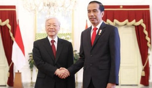 Tổng Bí thư hội đàm với Tổng thống Indonesia