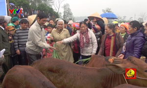 Tiếp thêm nghị lực thoát nghèo cho một gia đình ở Quảng Bình