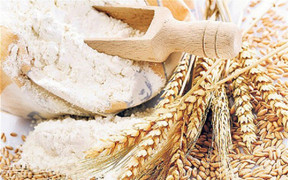 Trưởng phòng kinh doanh gian lận hàng nghìn tấn bột mì chiếm đoạt gần 10 tỷ đồng