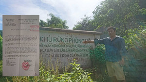 Doanh nghiệp tư nhân tàn phá rừng đầu nguồn trồng cam: Tỉnh Hòa Bình đang làm rõ