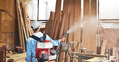 Video: Phun thuốc chỉ diệt được muỗi trưởng thành, bọ gậy mới nguy hiểm