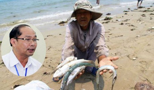 Sự cố môi trường Formosa: Hàng loạt cán bộ chủ chốt ở Hà Tĩnh bị kỷ luật