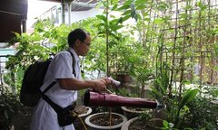 Học sinh, sinh viên vào nhập học: Nguy cơ sốt xuất huyết lại bùng phát
