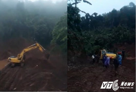 Những công ty 'vua' ngang nhiên tàn phá rừng đầu nguồn Hoà Bình