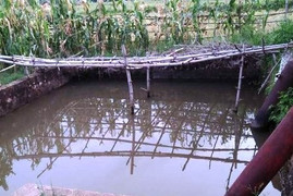 Phát hiện thi thể học sinh lớp 6 trong trạm bơm thủy lợi