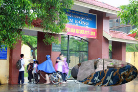 Nữ giáo viên phải nhập viện cấp cứu sau khi uống thuốc ngủ