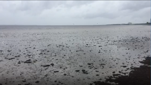 Siêu bão Irma để lại hiện tượng kỳ quái đáng sợ trên bờ Đại Tây Dương