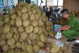 Công an mật phục bắt cơ sở ngâm sầu riêng bằng hóa chất