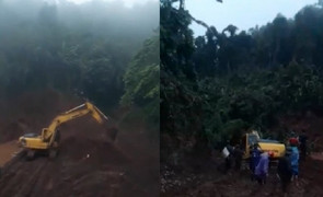 Dân tố doanh nghiệp phá rừng trồng cam: UBND tỉnh Hòa Bình lờ đi công ty 'vua' phá rừng?