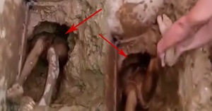 Pha vượt ngục 'bốc mùi' nhất mọi thời đại: Tù nhân chui qua bể phốt, trốn thoát bất thành