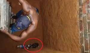 Cười vỡ bụng clip chui xuống giếng sâu giải cứu mèo