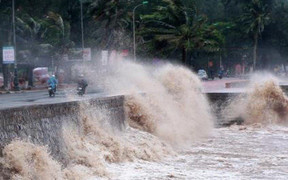 Trực tiếp: Bão số 10 'quần thảo' Quảng Trị, cây cối nghiêng ngả