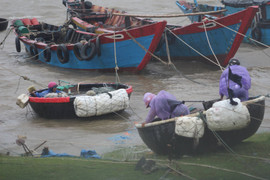 Ảnh: Dân liều mình ra biển cứu tàu thuyền trong cơn cuồng phong bão số 10