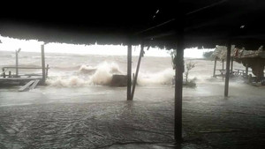 Bão số 10 khiến 3 người chết, hàng nghìn ngôi nhà bị tốc mái ở Nghệ An