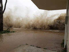 Bão số 10 càn quét ở Thanh Hoá làm 1 người chết, 11 thuyền viên mất liên lạc