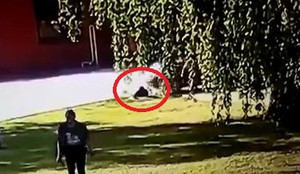 Người thợ lúi húi sửa cống, bị nữ tài xế lao ô tô cán qua