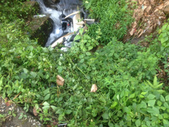 Xe khách lấn làn xe máy trên đèo Bảo Lộc, 2 vợ chồng rơi xuống vực sâu