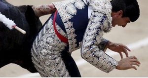 Khủng khiếp cảnh bò tót nổi điên húc chết võ sỹ đấu bò