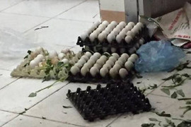 Phát hiện sự thật đáng sợ về thực phẩm nấu bữa ăn bán trú của học sinh