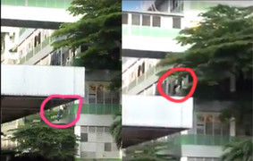 Bị nữ nhân viên tát, nam công nhân nhảy lầu tự tử