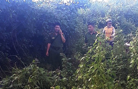 Bé gái 14 tuổi bị hiếp dâm, giết rồi giấu xác trong bụi cây: Đã bắt nghi phạm