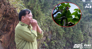 Gặp người đàn ông có biệt tài 'nói chuyện' với chim nơi non thiêng Bạch Mã