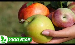 Tuyệt chiêu nhận biết táo Trung Quốc