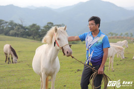 Cách vượt khó thoát nghèo cực kỳ lãng mạn của người dân xứ Lạng