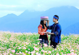 Tháng Mười lên Fansipan ngắm ngọn đồi Tam giác mạch mùa lễ hội