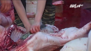 Vì sao thương lái bất chấp độc hại, tiêm thuốc an thần cho lợn?