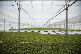 2 năm 'Hành trình sạch - Tương lai xanh' của VinEco