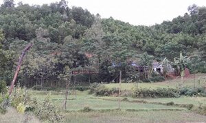 Đang ngủ trong nhà, hai bố con bị sét đánh chết thương tâm