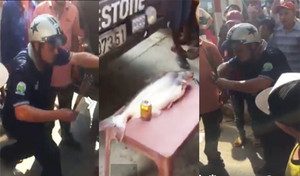 Video: Hết dùng heo quay, tài xế lại dùng cá tra cúng trạm BOT Biên Hoà